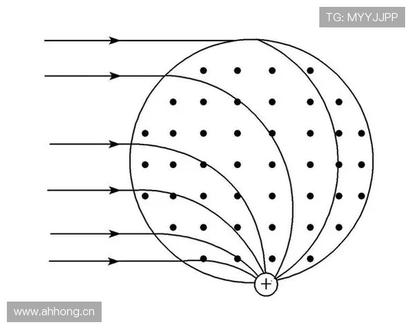 汉堡本赛季转会策略聚焦青训补强与成本控制