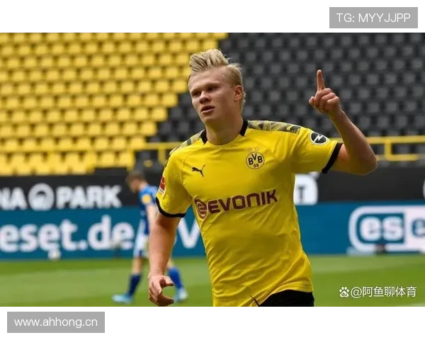 哈兰德挪威进球纪录