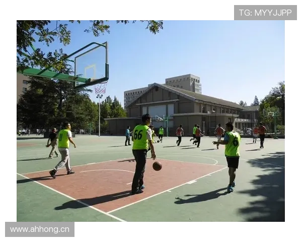 篮球比赛中的前场规则详解：区域与时间的判定标准